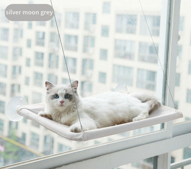 Suction Cup Hanging Cat Hammock