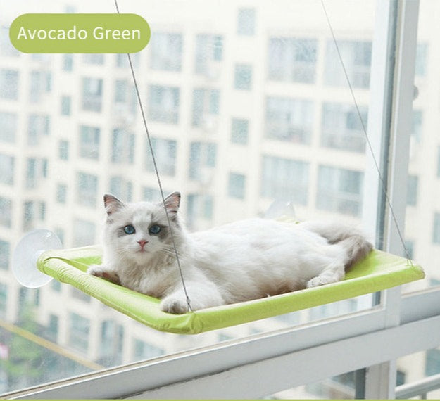 Suction Cup Hanging Cat Hammock