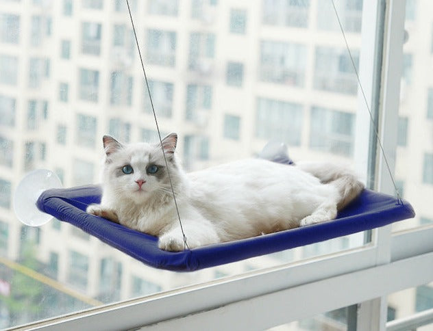 Suction Cup Hanging Cat Hammock