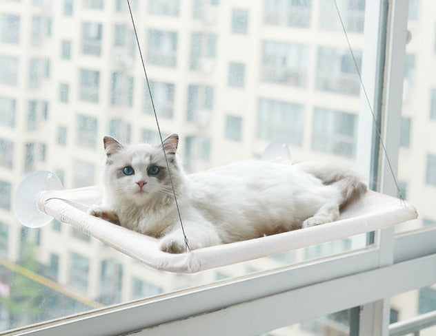 Suction Cup Hanging Cat Hammock