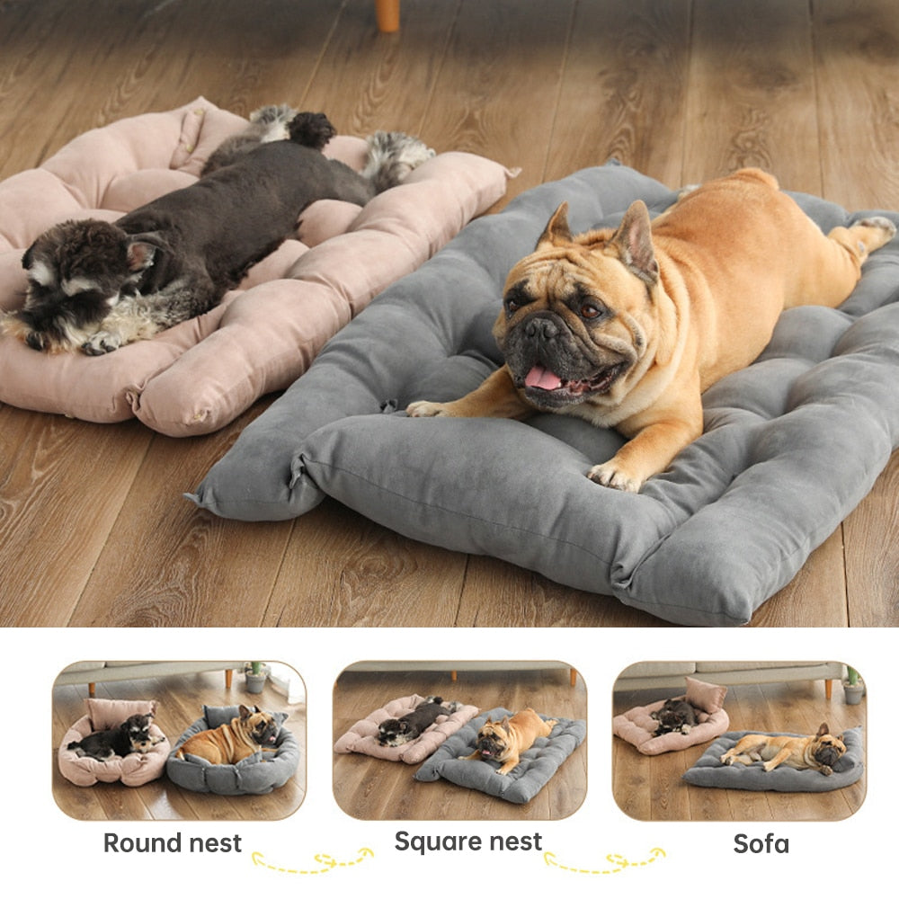 Cushioned Pet Bed